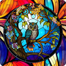 Lade das Bild in den Galerie-Viewer, Buntglas Owl-Voller Round Diamond Painting-30x30cm
