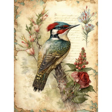 Lade das Bild in den Galerie-Viewer, Bird-voller Round Diamond Painting-30x40cm
